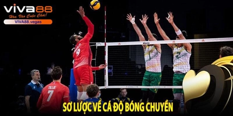 Cá Cược Bóng Chuyền VIVA88 – Cập Nhật Cách Chơi Cơ Bản