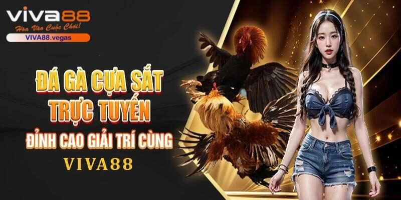 Đá Gà Cựa Sắt VIVA88 – Siêu Phẩm Chọi Gà Siêu Hot 2025